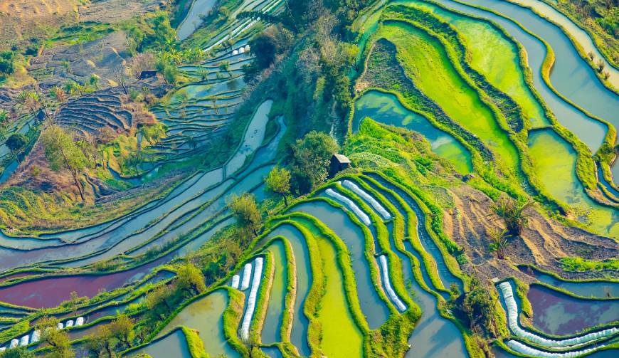 走进盈江县TVC拍摄：解锁本地化场景与创意镜头的完美融合